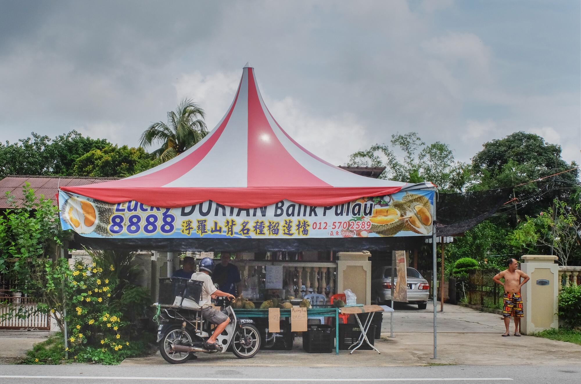 durian 3